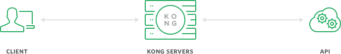 kong示意图